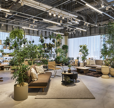 VMD売り場の様子